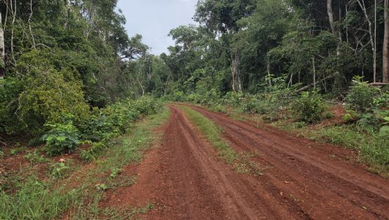 Denuncian al alcalde de Kinchil de intentar despojar de tierras a una familia para supuestamente con