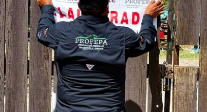 Clausura Profepa el zoológico La Pastora en Nuevo León por caso de la osa Mina