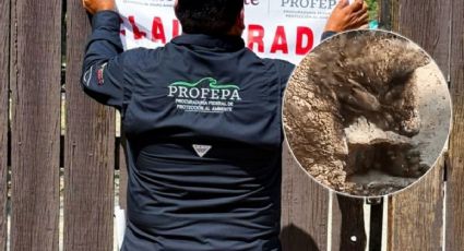 Clausuran zoológico La Pastora de manera temporal tras 40 años de actividad