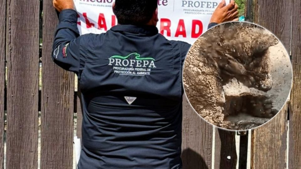 Clausuran zoológico La Pastora de manera temporal por caso de osa 'Mina'