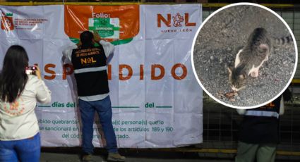 Suspenden taller en Apodaca por presunto maltrato animal