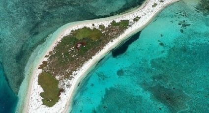 Arrecife Alacranes: entre leyendas, naufragios y tesoros ocultos del Golfo de México