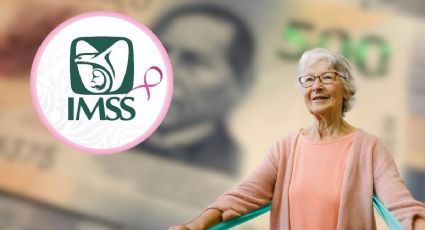 Pensión IMSS: ¿quiénes no reciben pago de aguinaldo en 2025?