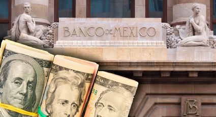 'No llegar al crecimiento estipulado por Hacienda implica menos recaudación': Sofía Ramírez