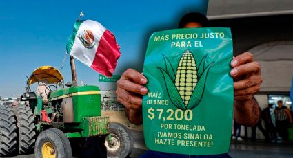 La crisis del campo mexicano: ¿Quién es el responsable de que no paren las protestas?