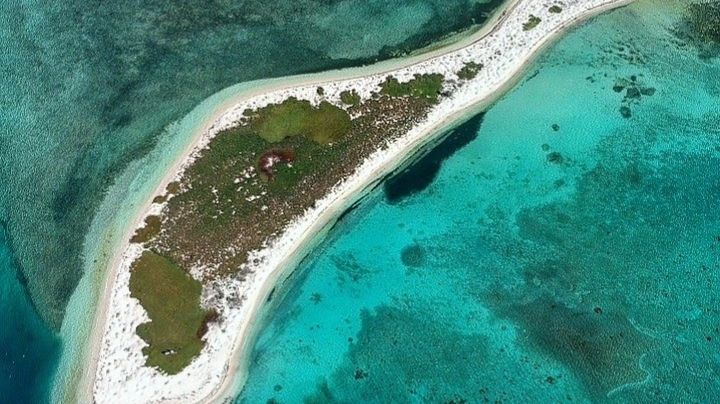 Arrecife Alacranes: entre leyendas, naufragios y tesoros ocultos del Golfo de México