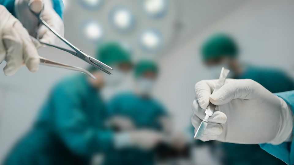 La legisladora explicó que la iniciativa nace tras casos como el de Paloma Nicole.