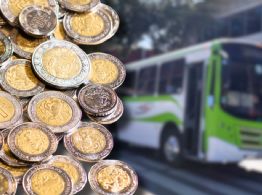 Flix expande su red de viajes baratos en autobús en ocho estados del país