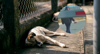 Captan a guardia de caseta en García rociando con gas pimienta a perritos callejeros