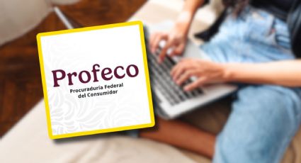 Profeco alerta por página falsa de la procuraduría; así puedes identificar cualquier web que no sea del gobierno