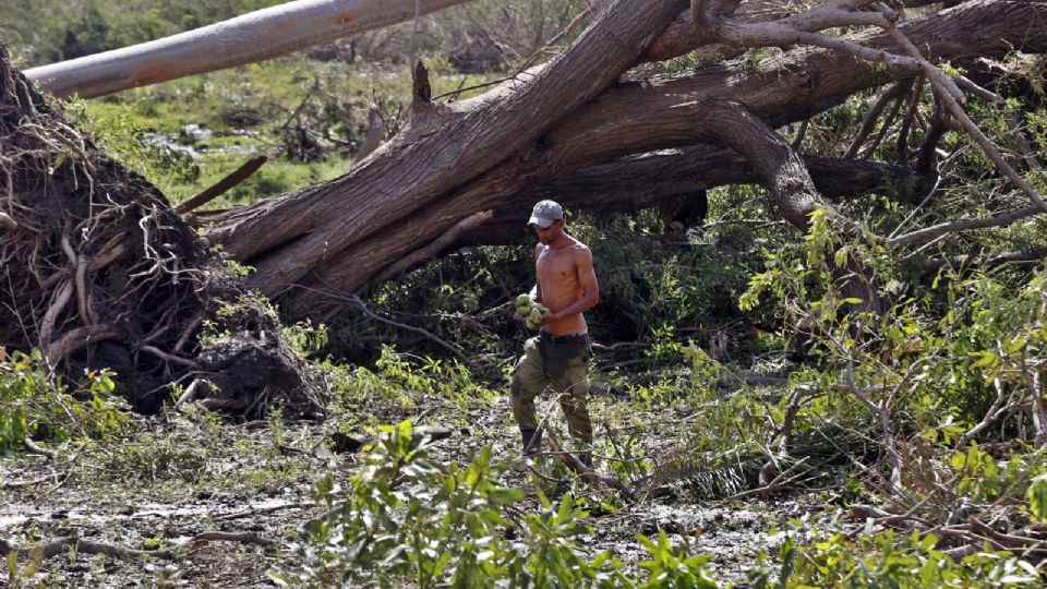 GUAMÁ (CUBA). La mayor parte de las cinco provincias orientales, las que recibieron los peores embates del huracán, continúan sin electricidad ni telefonía