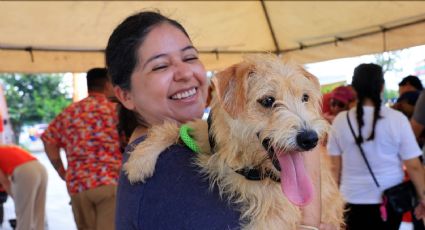 Guadalupe refuerza la tenencia responsable de mascotas con vacunación y servicios veterinarios