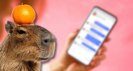 Así se puede activar el “modo Capibara” en WhatsApp en octubre 2025