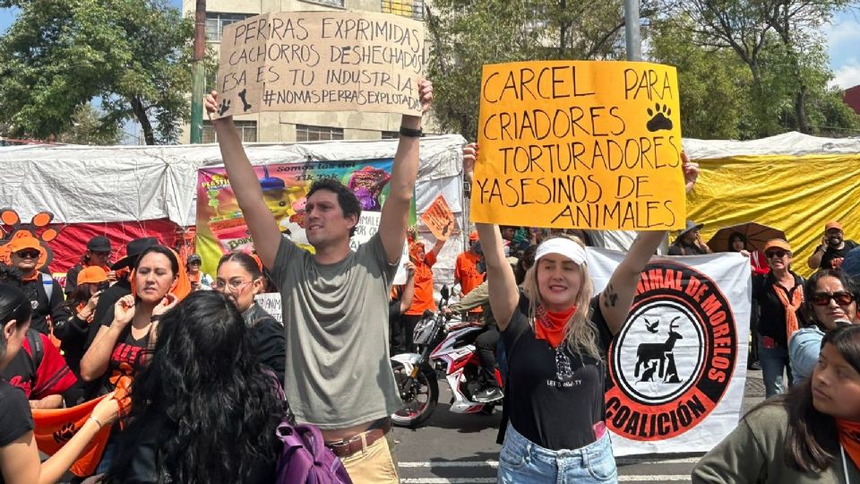 Organizaciones exigen cancelar megaproyecto Saguaro y venta de fauna en Sonora por daños al ecosistema.