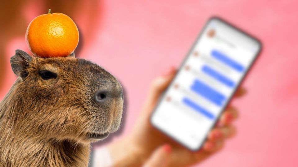 “Modo Capibara” quedará activado en WhatsApp