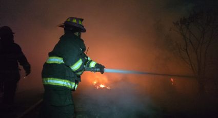 Rescatan a caballos durante incendio en lote baldío en Guadalupe