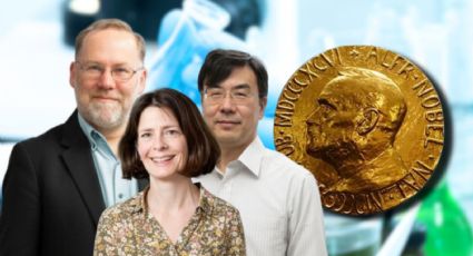 Premio Nobel de Medicina 2025: ¿Quiénes son los ganadores y qué es tolerancia inmunológica periférica?