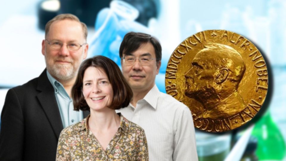 El Premio Nobel de Medicina 2025 fue otorgado a tres científicos por un avance crucial en la comprensión del sistema inmunitario.