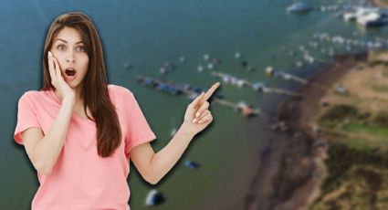 Nivel de las presas del Sistema Cutzamala hoy 7 de octubre