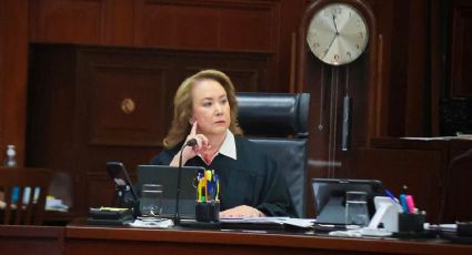 Derecho a la consulta a personas con discapacidad implica el respeto de su dignidad: Yasmín Esquivel