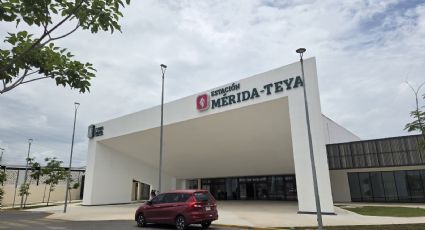 Semarnat reconoce los daños del Tren Maya, buscará regularizar los permisos ambientales