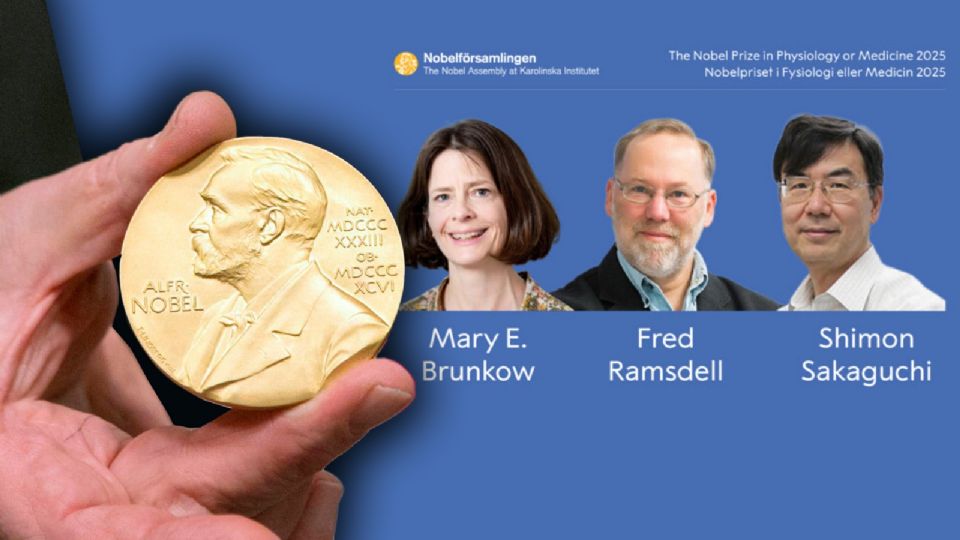 La física cuántica se ocupa de partículas extremadamente pequeñas, donde las reglas del mundo parecen cambiar.