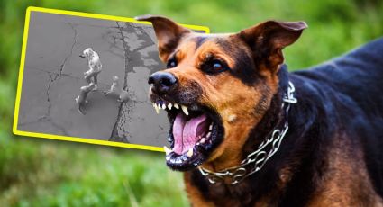 VIDEO | Jauría de perros ataca a mujer en calles de Ixtapaluca y automovilista la salva	