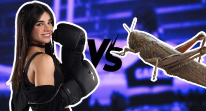 VIDEO | Así fue la “pelea” de Alana Flores contra un grillo en su casa