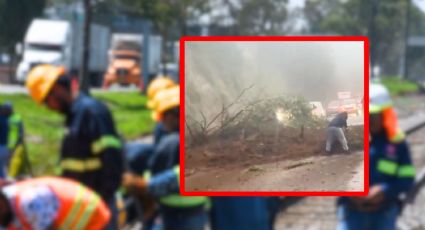 VIDEO | Autopista México-Toluca es bloqueada por un deslave y provoca caos rumbo a CDMX