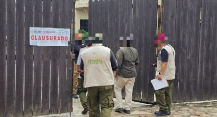 Realiza Profepa nueva inspección en el Zoológico La Pastora