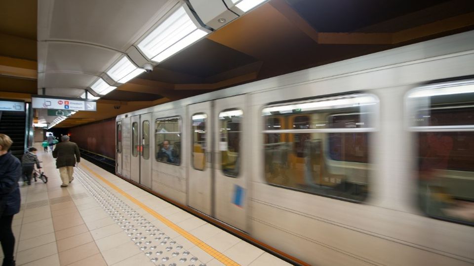 Fuente: Canva / producción MVS