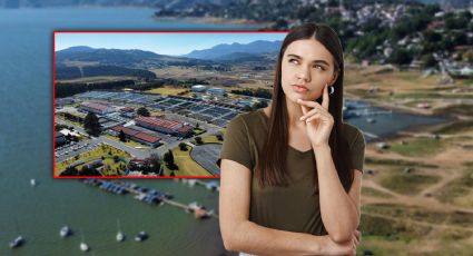 Nivel de las presas del Sistema Cutzamala hoy 11 de noviembre