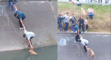 VIDEO | Perrito cae a canal de aguas negras y vecinos hacen esto para salvarlo