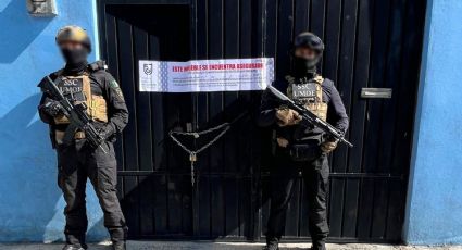 Capturan a 14 por posesión de droga con fines de suministro y comercio, armas y cartuchos