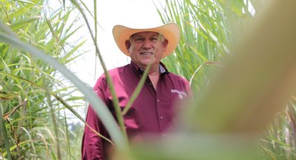 Cañeros levantan plantón frente a SADER; autoridades definirán si otorgan compensación de 300 pesos