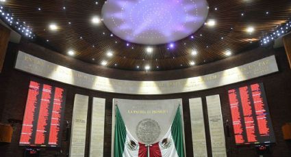 Aprobar el Día Nacional del Rock, pide diputada federal de Morena