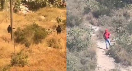 VIDEO | Captan persecución en brechas del cerro que divide a Monterrey y San Pedro