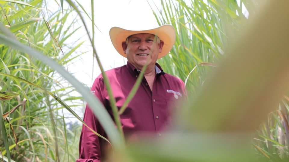 Mencionaron que el próximo miércoles regresará una comisión para abordar el tema del subsidio de 300 pesos a la tonelada de azúcar.