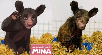 Fundación Invictus anuncia nueva edición de la campaña “Un Abrazo para Mina”