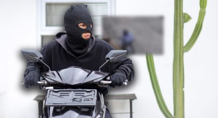 VIDEO | ¡Nadie se salva! Captan momento en que motociclista roba juguete a perrito