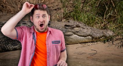 VIDEO | Turistas se ponen en peligro al molestar a cocodrilo en Tulum
