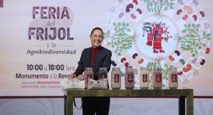 Ahorra en la despensa: Gobierno lanza Frijoles Bienestar a $30; ve dónde
