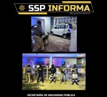 Cateo en predio del fraccionamiento del parque aseguran drogas y otros indicios