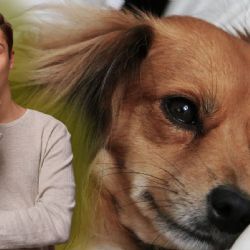 ¿Es bueno dormir con tu perro? Esto dicen expertos