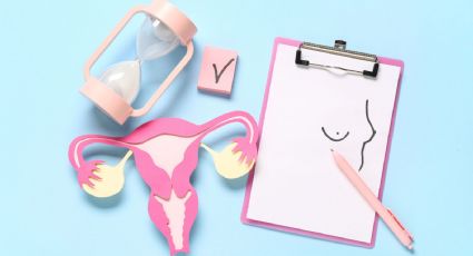 PVEM propone reconocer la atención ginecológica integral como objetivo del Sistema Nacional de Salud