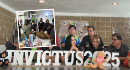 Estos fueron los resultados tras la segunda intervención médica de la osa Mina