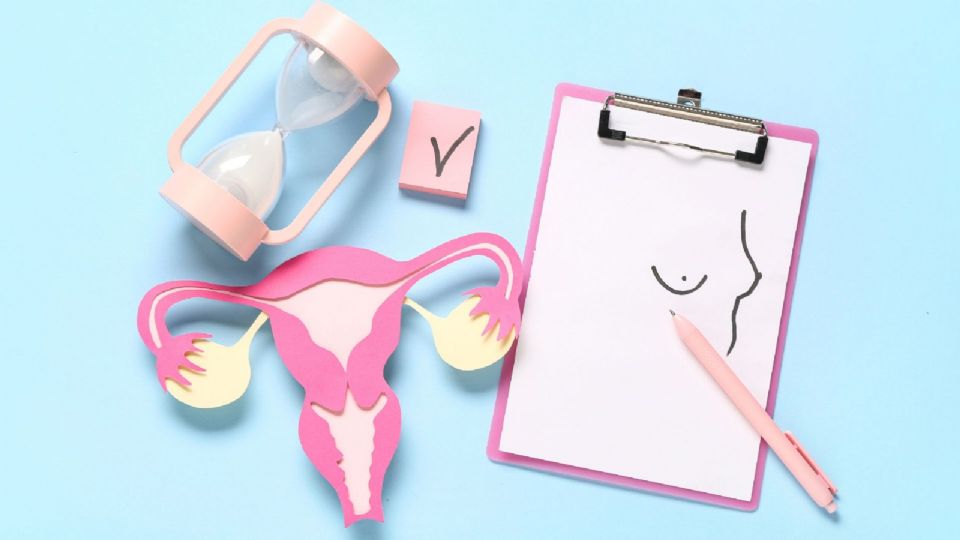 La propuesta busca ampliar el enfoque de salud hacia las mujeres.