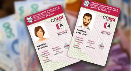 Licencia de conducir con 50 % de descuento: estados donde aplica la promoción y requisitos
