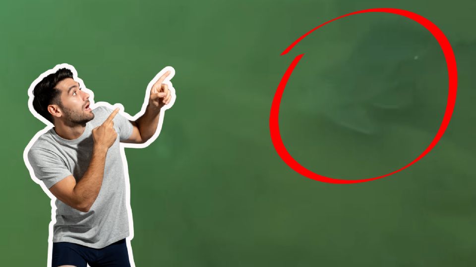 Ejemplar del Pez Diablo captado en la Presa La Boca, especie invasora que amenaza la biodiversidad local.