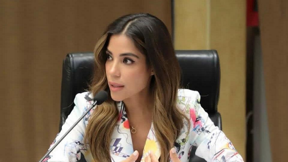 Diputada Diana Karina Barreras.